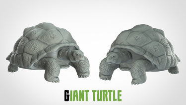Giant Turtle